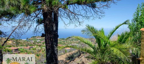 Дом с 1 спальней в Ла Пальма, Испания № 152003 16