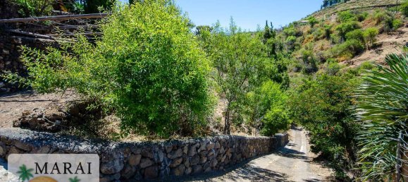 Дом с 1 спальней в Ла Пальма, Испания № 152003 24