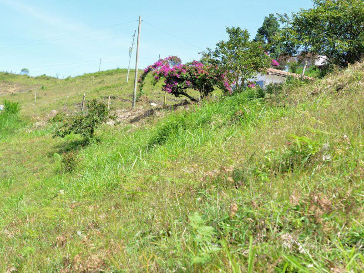 Terrain à Antioquia, Colombia No. 319