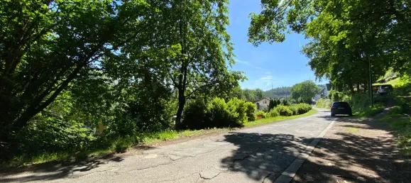  Land in Altenkirchen, Germany No. 173715 4