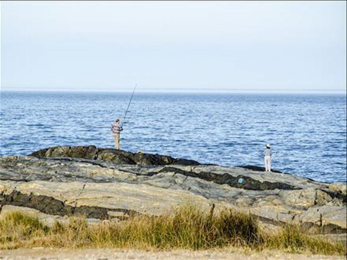  Farm in Maldonado, Uruguay No. 15684
