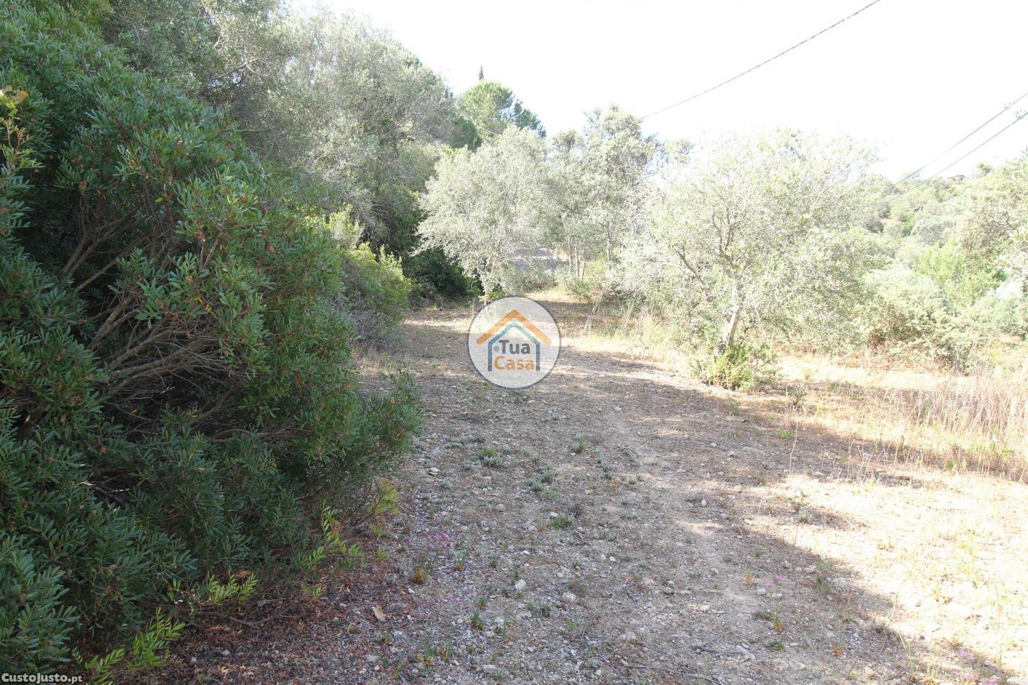 3160m² Land in Faro, Portugal No. 74515