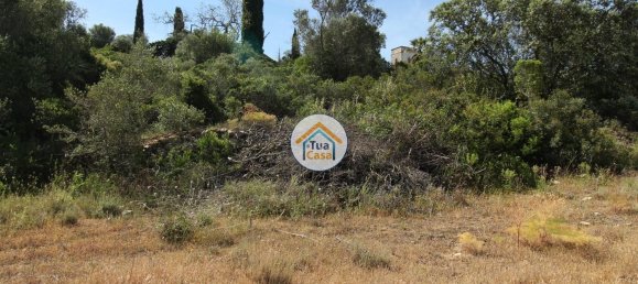 3160m² Land in Faro, Portugal No. 74515 9