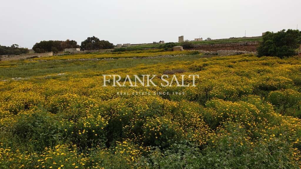  Farm in Qrendi, Malta No. 2840