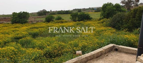  Farm in Qrendi, Malta No. 2840 5
