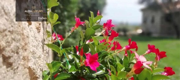 5 bedrooms Villa in Olbia, Italy No. 541 9