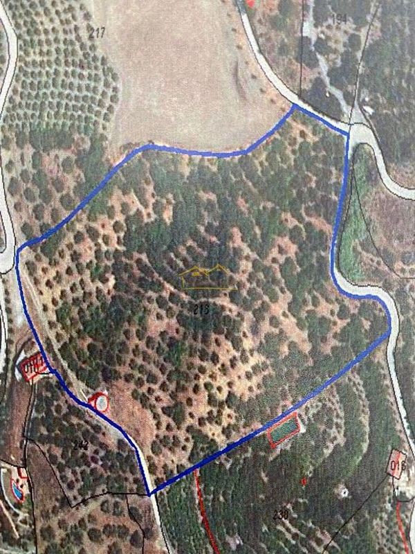 17678m² Land in Frigiliana, Spain No. 226436