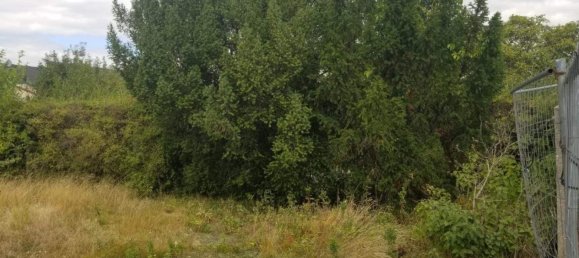 Terreno en Gerasdorf bei Wien, Austria No. 256244 3