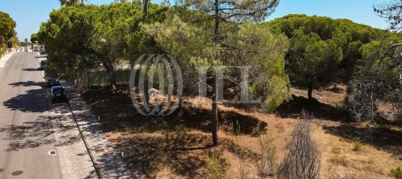 1285m² Land in Almancil, Portugal No. 55918 8