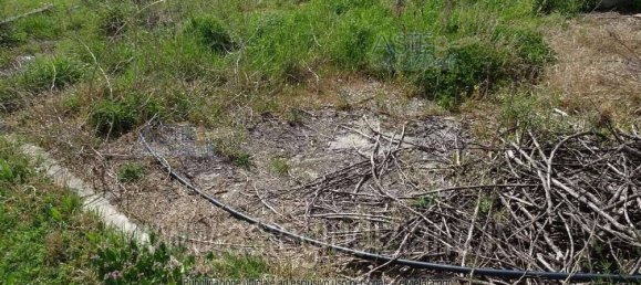 5 rooms House in Lugo, Italy No. 96236 52