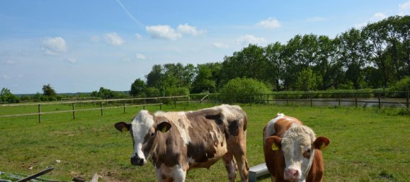11-salle Ferme à Dithmarschen, Germany No. 71844 35