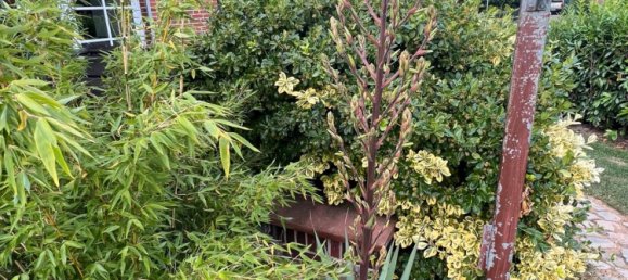 3 غرف نوم تاون هاوس في Stormarn, Germany رقم 355864 18