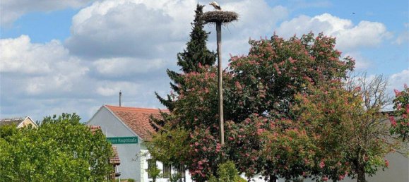 Дом с 7 комнатами в Дойч Шютцен-Айзенберг, Австрия № 147328 34