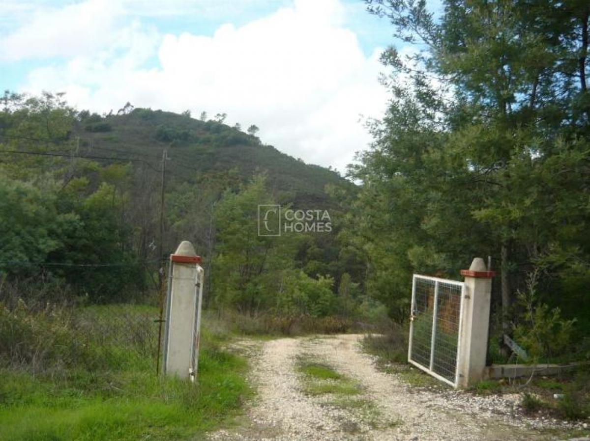 350m² Land in Monchique, Portugal No. 8619