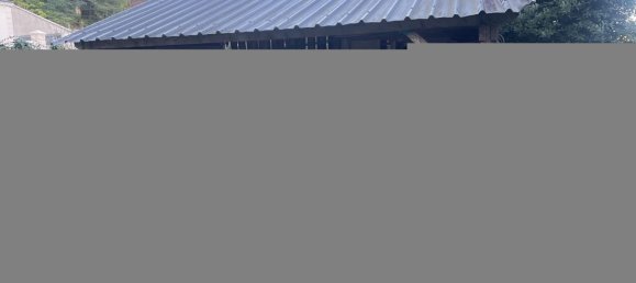 3 غرف نوم منزل في Poce-sur-Cisse, France رقم 221468 9