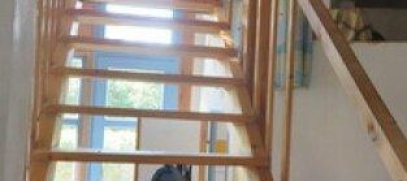 Дом с 5 комнатами в Герас, Австрия № 194275 22