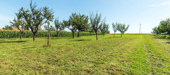 Terreno en Knoersheim, France 1345 m² No. 87386 6