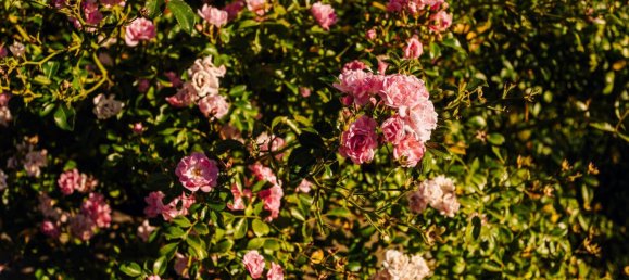 4غرفة منزل في Raaba-Grambach, Austria رقم 249313 29