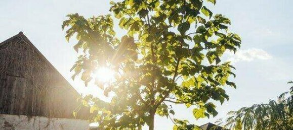 4غرفة منزل في Raaba-Grambach, Austria رقم 249313 22