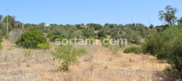 Terrain à Ferreiras, Portugal 120m² No. 120539 15