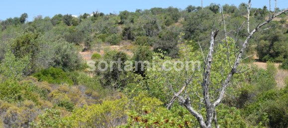 Terrain à Ferreiras, Portugal 120m² No. 120539 17