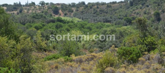 Terrain à Ferreiras, Portugal 120m² No. 120539 16