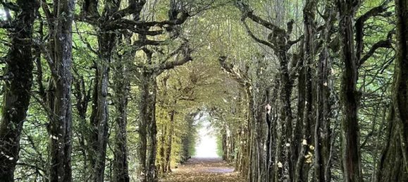 7 bedrooms Castles in Vendee, France No. 307068 8