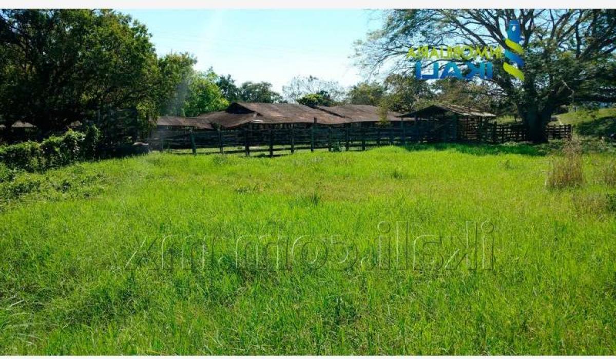 Studio à Veracruz, Mexico No. 224381