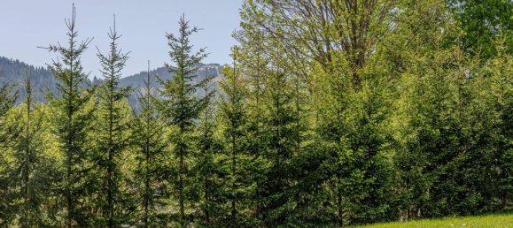 895m² Land in Going am Wilden Kaiser, Austria No. 21804 10