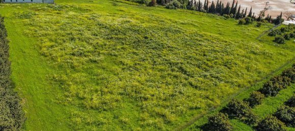  Land in Estepona, Spain No. 147068 5