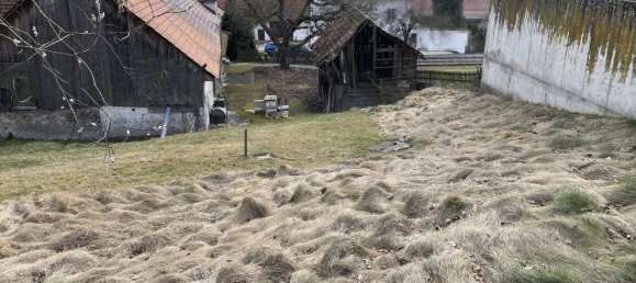 Земельный участок в Айхах-Фридберг, Германия № 143632 6