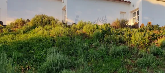 Villa T2 em Tavira, Portugal N.º 57295 91