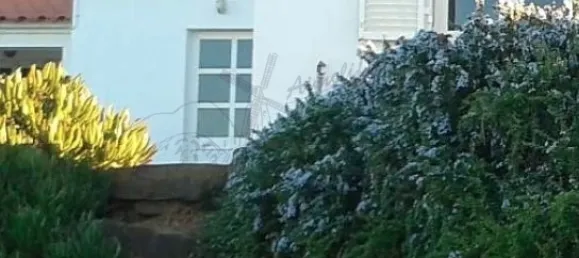 Villa T2 em Tavira, Portugal N.º 57295 34