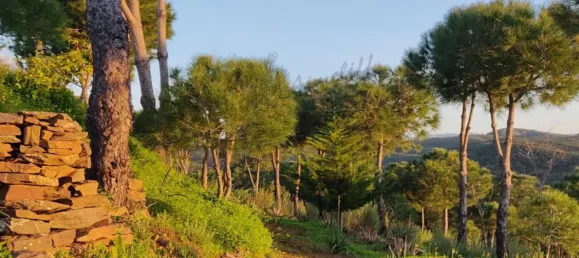 Villa T2 em Tavira, Portugal N.º 57295 97