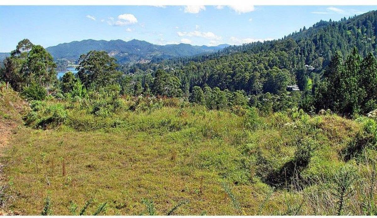 Terreno en Antioquia, Colombia No. 451