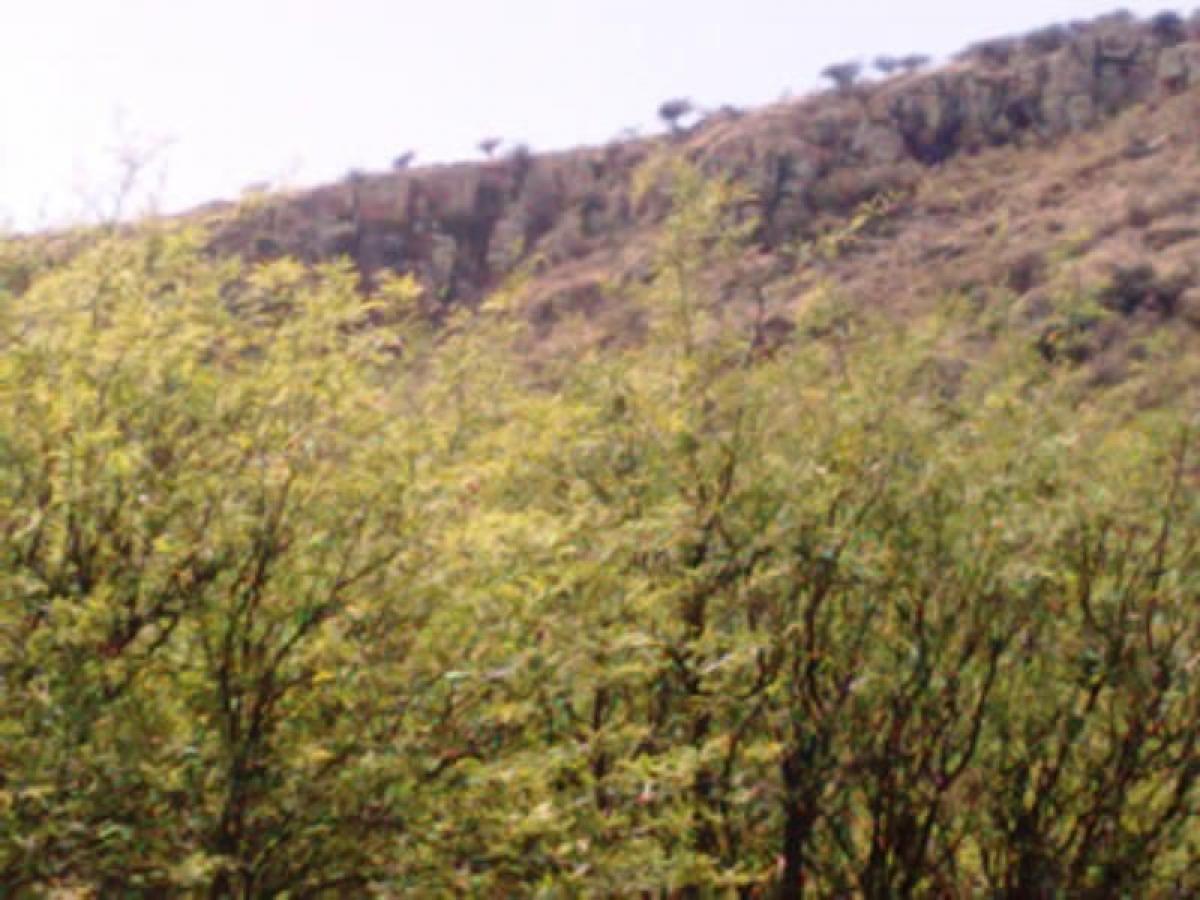 Studio in Guanajuato, Mexico No. 151848