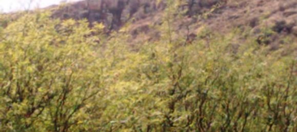 Studio in Guanajuato, Mexico No. 151848 2