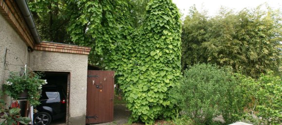 1 غرف نوم بنغالو في Brandenburg, Germany رقم 56703 13