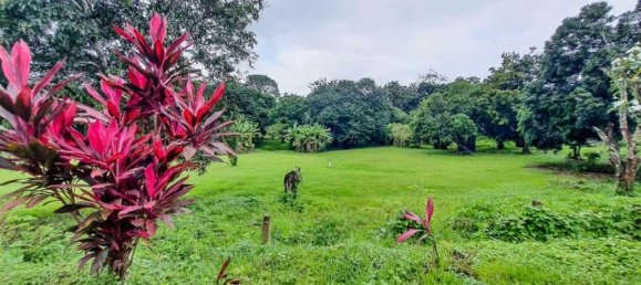 Terrain à Garabito, Costa Rica No. 1674 6