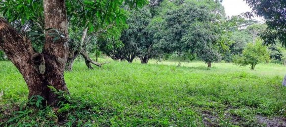 Terrain à Garabito, Costa Rica No. 1674 2