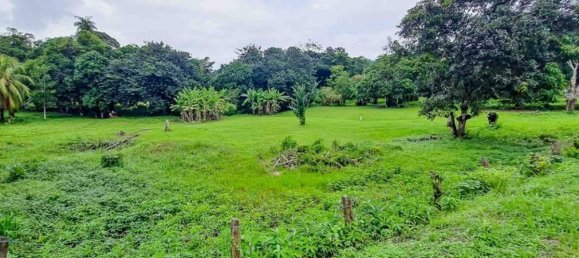 Terrain à Garabito, Costa Rica No. 1674 5