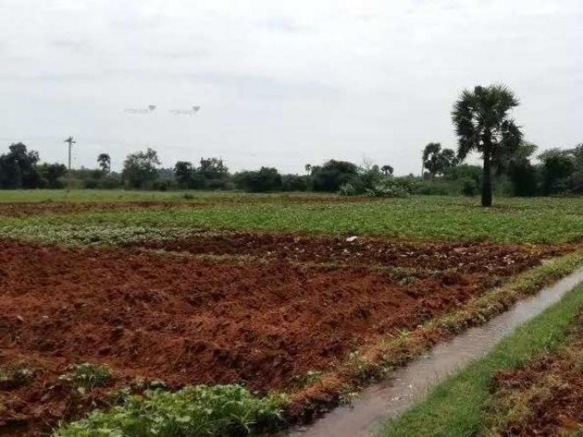  Land in Aligarh, India No. 33539