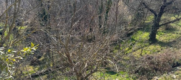 3 Schlafzimmer Haus in Montaldo di Mondovì, Italy, Nr. 175368 23