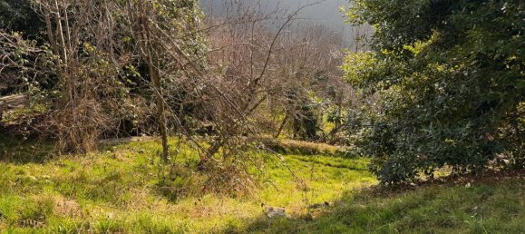 3 Schlafzimmer Haus in Montaldo di Mondovì, Italy, Nr. 175368 21