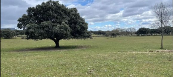 Terreno en Galapagar, Spain 223247 m² No. 99735 3