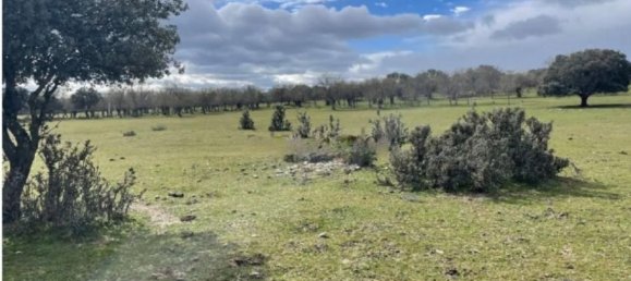 Terreno en Galapagar, Spain 223247 m² No. 99735 2