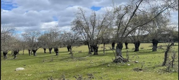 Terreno en Galapagar, Spain 223247 m² No. 99735 4