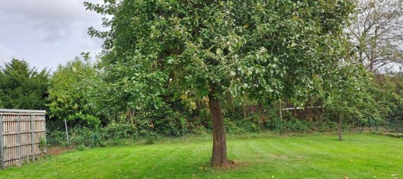 Casa de 6 habitaciónes en Bernkastel-Wittlich, Germany No. 205435 34