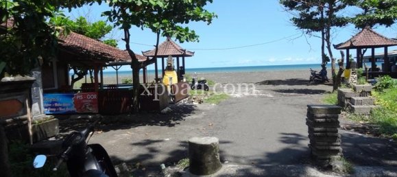 Grundstück in Gianyar, Indonesia 11950m², Nr. 3854 4