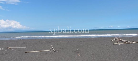 Grundstück in Gianyar, Indonesia 11950m², Nr. 3854 13